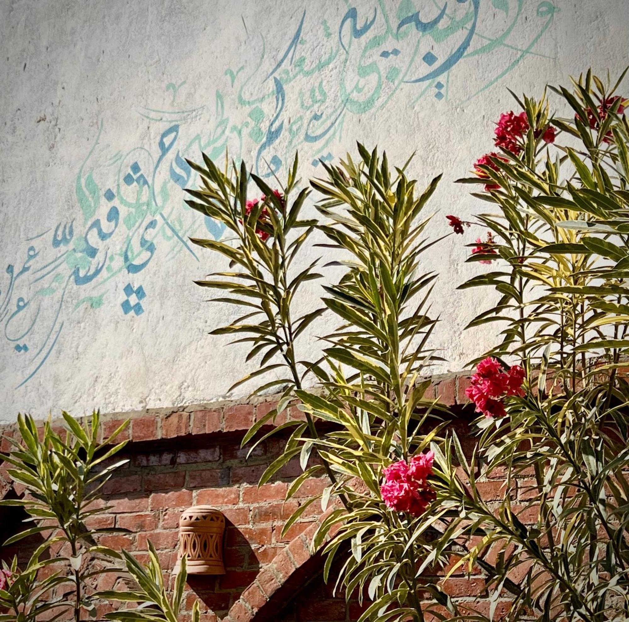 Dar Lina Guesthouse Luxor Exterior photo